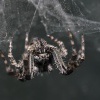 Pavouk - Korcula 0613